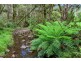 Lot 147 Redlands Road, Hernani, Dorrigo NSW 2453