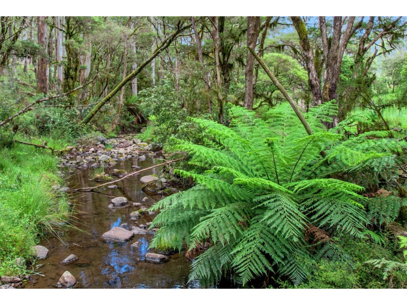 Lot 147 Redlands Road, Hernani, Dorrigo NSW 2453