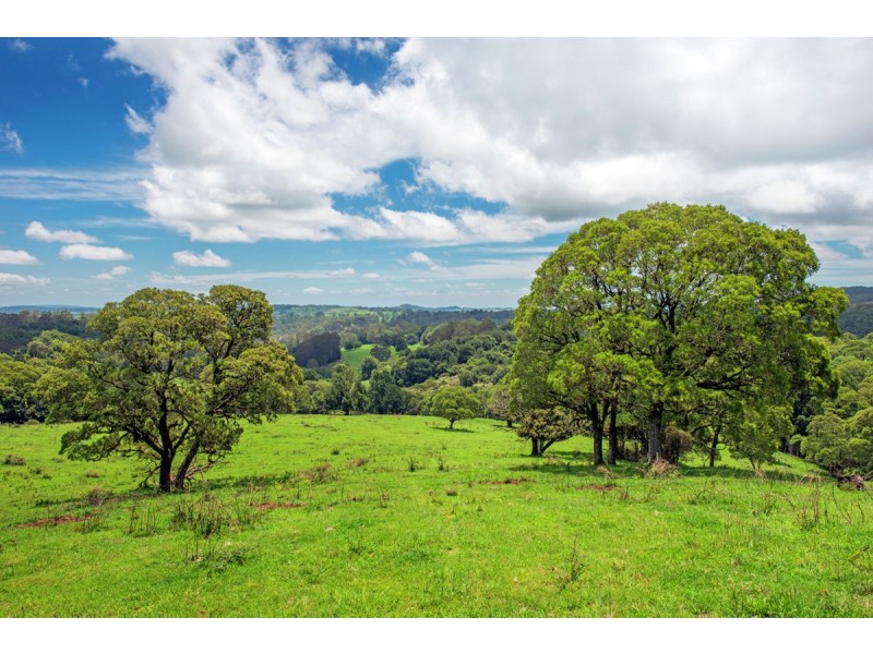 Lot 147 Redlands Road, Hernani, Dorrigo NSW 2453