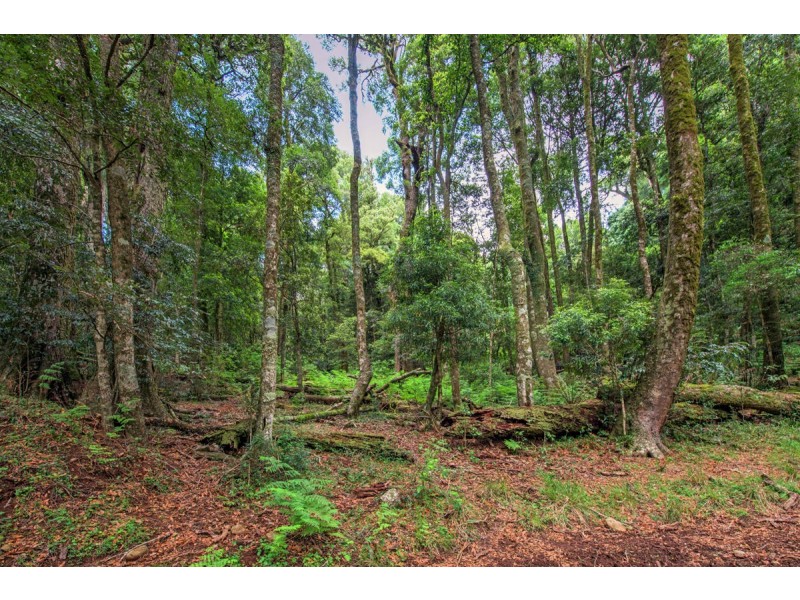 Lot 147 Redlands Road, Hernani, Dorrigo NSW 2453