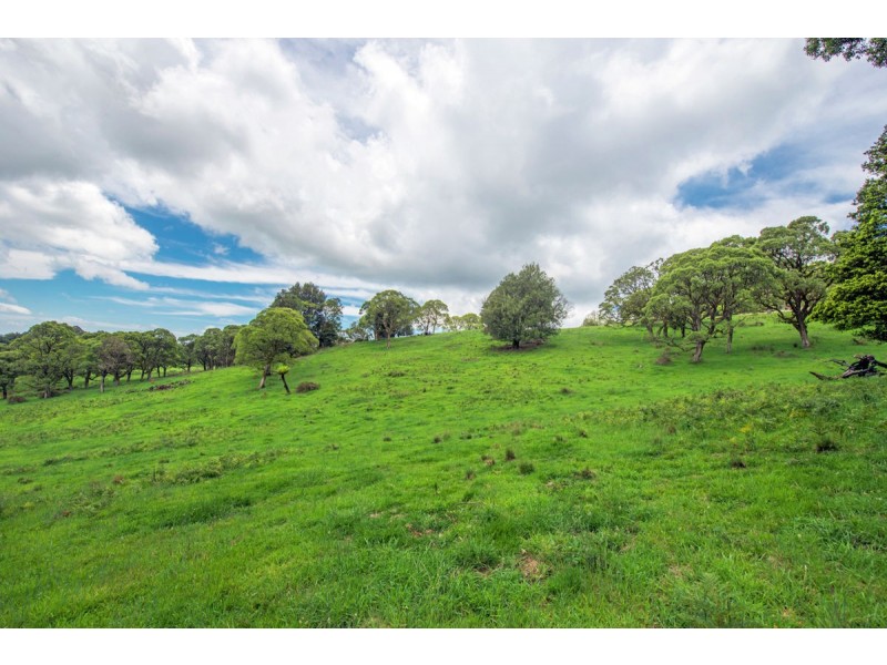 Lot 147 Redlands Road, Hernani, Dorrigo NSW 2453