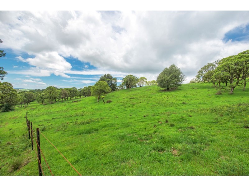 Lot 147 Redlands Road, Hernani, Dorrigo NSW 2453
