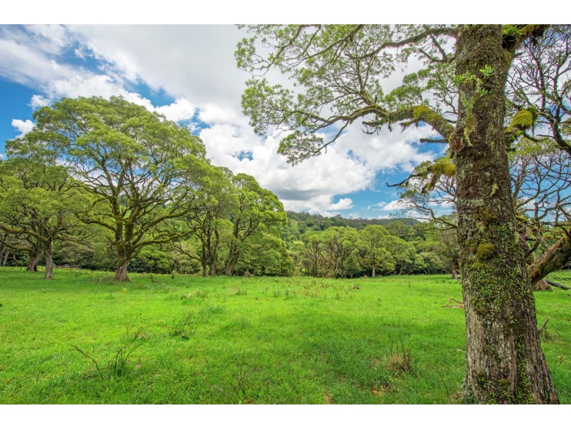 Lot 147 Redlands Road, Hernani, Dorrigo NSW 2453