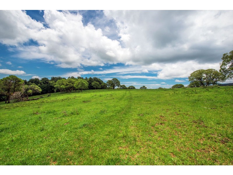 Lot 147 Redlands Road, Hernani, Dorrigo NSW 2453