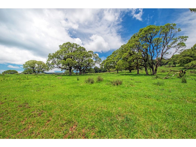 Lot 147 Redlands Road, Hernani, Dorrigo NSW 2453