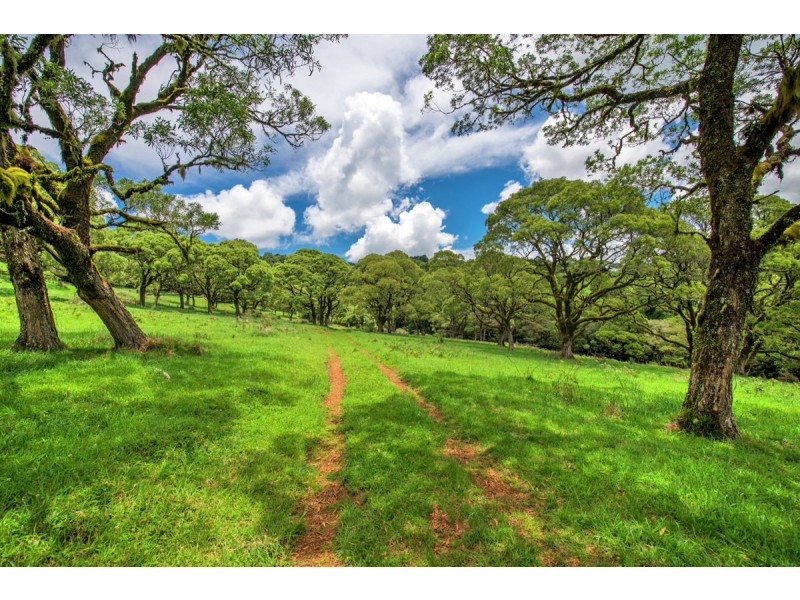 Lot 147 Redlands Road, Hernani, Dorrigo NSW 2453