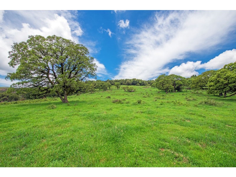 Lot 147 Redlands Road, Hernani, Dorrigo NSW 2453
