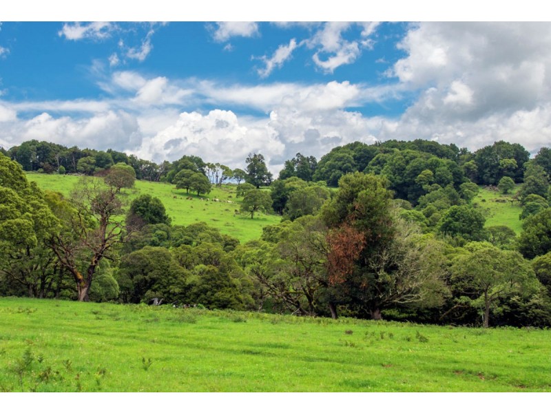 Lot 147 Redlands Road, Hernani, Dorrigo NSW 2453