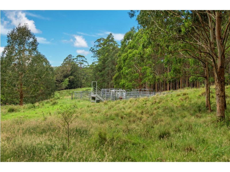 Lot 147 Redlands Road, Hernani, Dorrigo NSW 2453