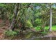 Lot 147 Redlands Road, Hernani, Dorrigo NSW 2453