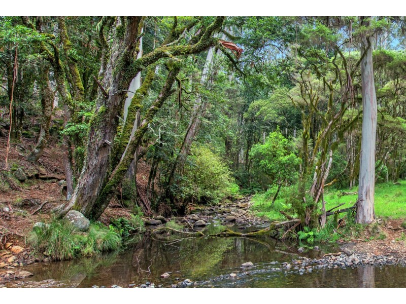 Lot 147 Redlands Road, Hernani, Dorrigo NSW 2453