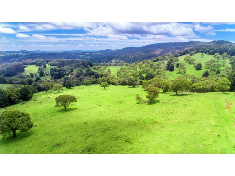 Lot 147 Redlands Road, Hernani, Dorrigo NSW 2453