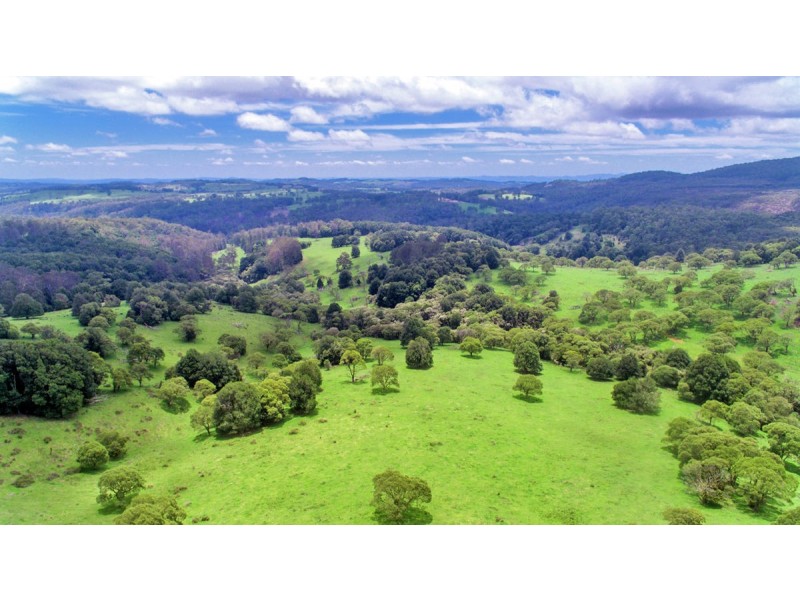 Lot 147 Redlands Road, Hernani, Dorrigo NSW 2453