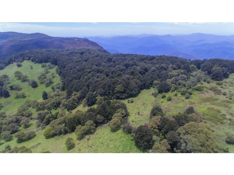 Lot 147 Redlands Road, Hernani, Dorrigo NSW 2453