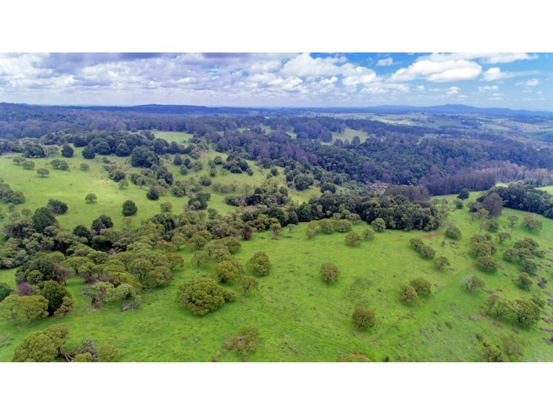 Lot 147 Redlands Road, Hernani, Dorrigo NSW 2453