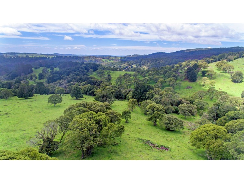 Lot 147 Redlands Road, Hernani, Dorrigo NSW 2453