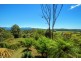Bellingen NSW 2454