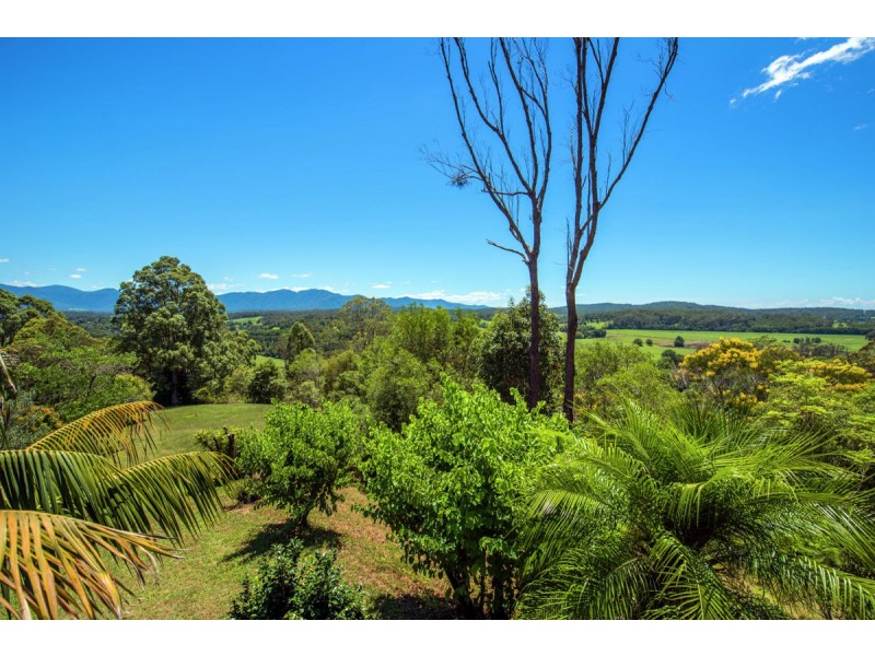 Bellingen NSW 2454