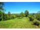 Bellingen NSW 2454