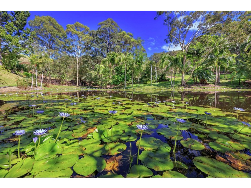 235 The Mountain Way, Sapphire Beach, Coffs Harbour NSW 2450