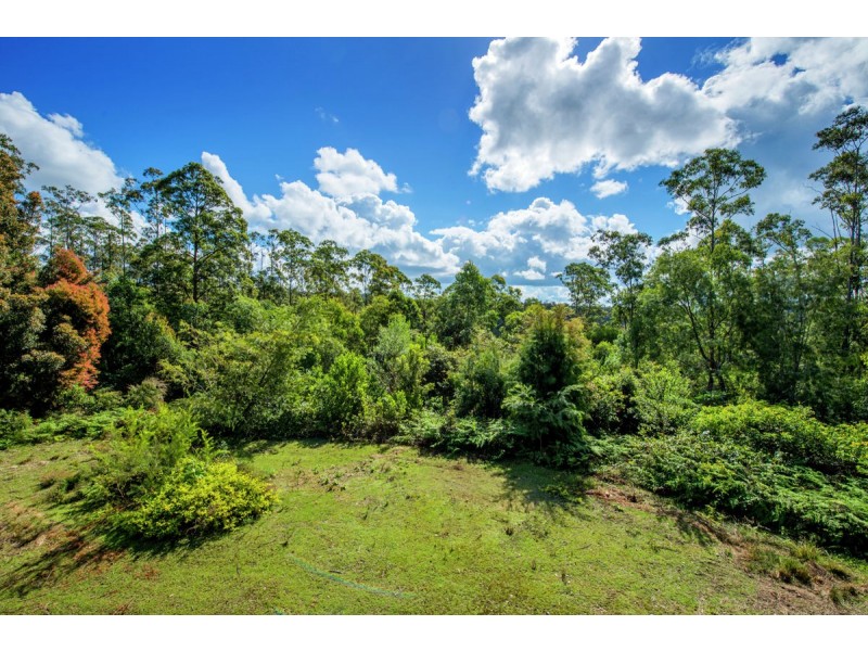 883 Camp Creek Road, Lowanna NSW 2450