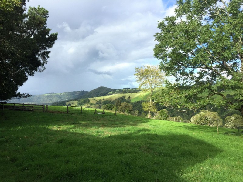 276 Nashs Road, Deer Vale NSW 2453