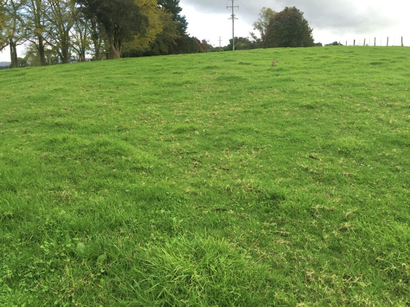 276 Nashs Road, Deer Vale NSW 2453