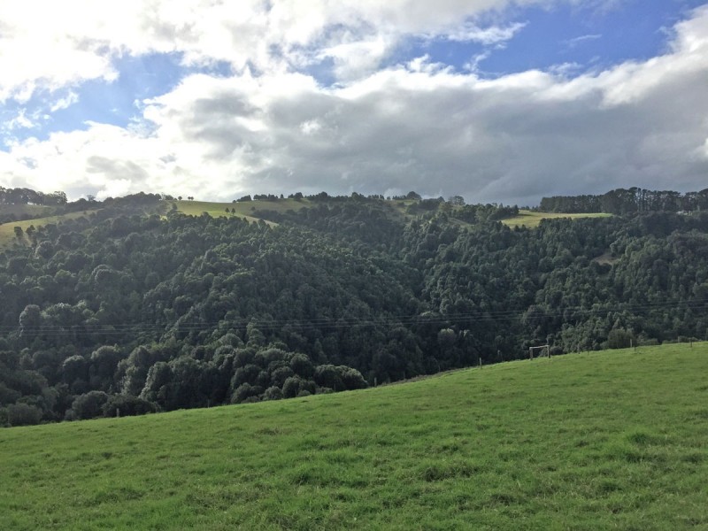 276 Nashs Road, Deer Vale NSW 2453