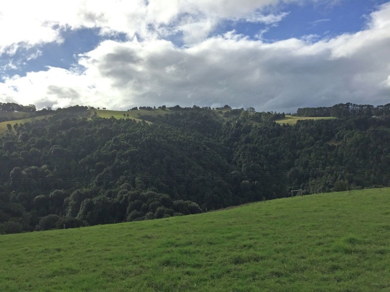 276 Nashs Road, Deer Vale NSW 2453