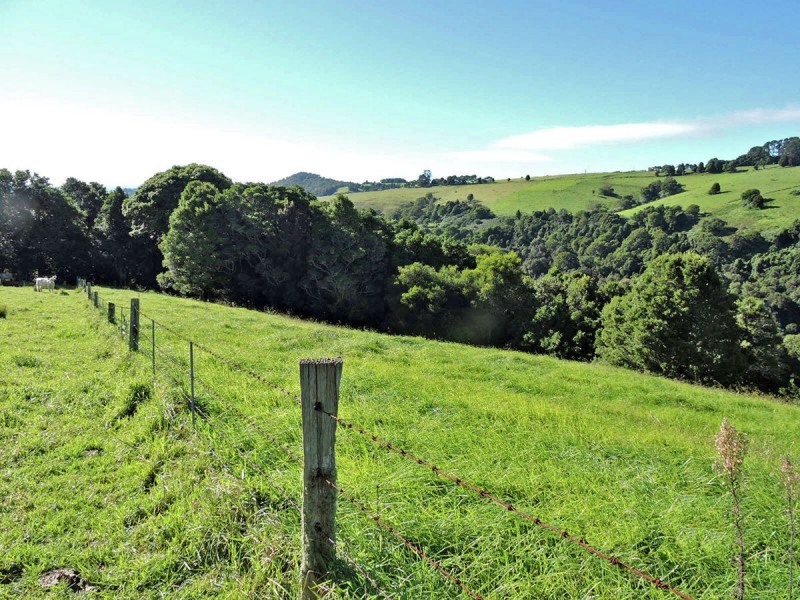 276 Nashs Road, Deer Vale NSW 2453