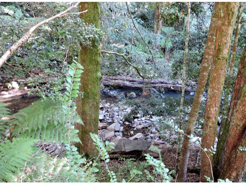 276 Nashs Road, Deer Vale NSW 2453