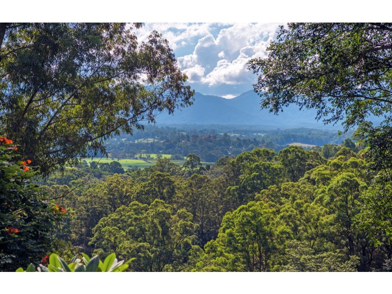 22 Bennett Road, Bellingen NSW 2454