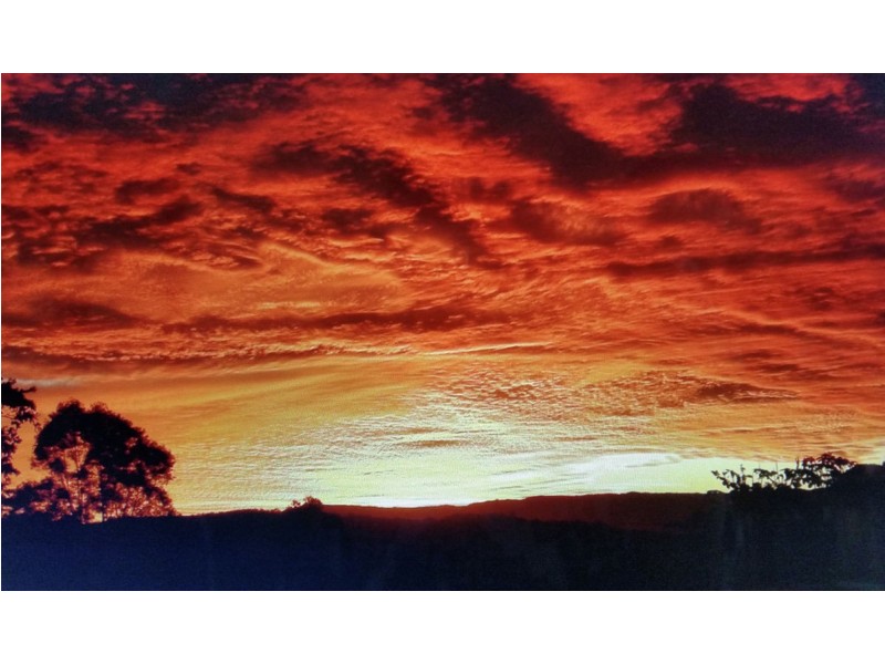 22 Bennett Road, Bellingen NSW 2454