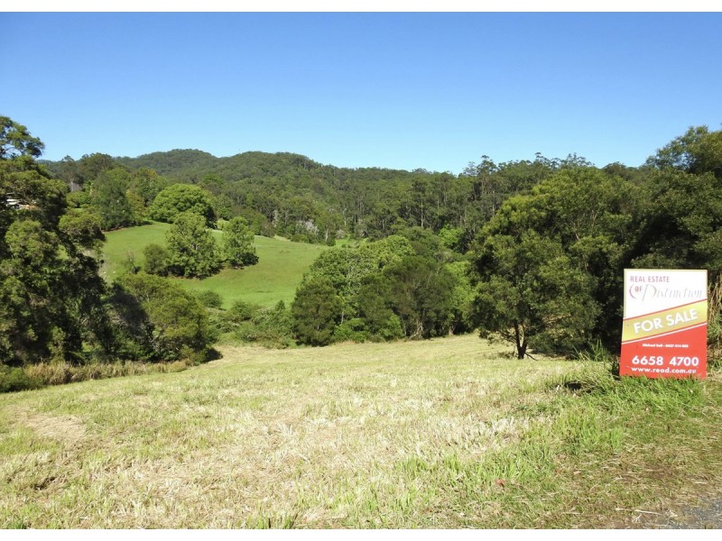 217 Mount Street, Bellingen NSW 2454