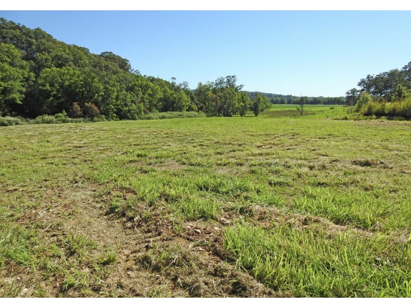 217 Mount Street, Bellingen NSW 2454