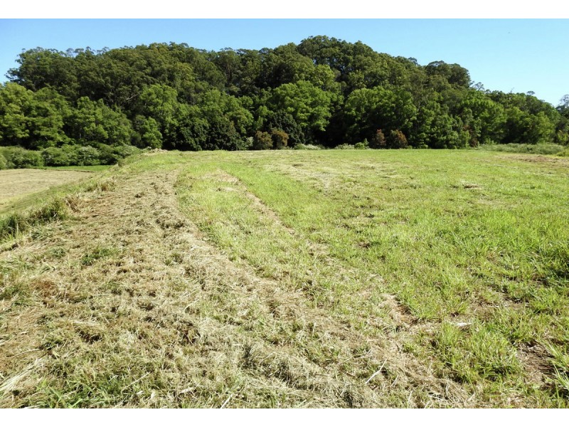 217 Mount Street, Bellingen NSW 2454