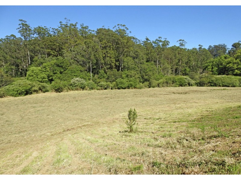 217 Mount Street, Bellingen NSW 2454