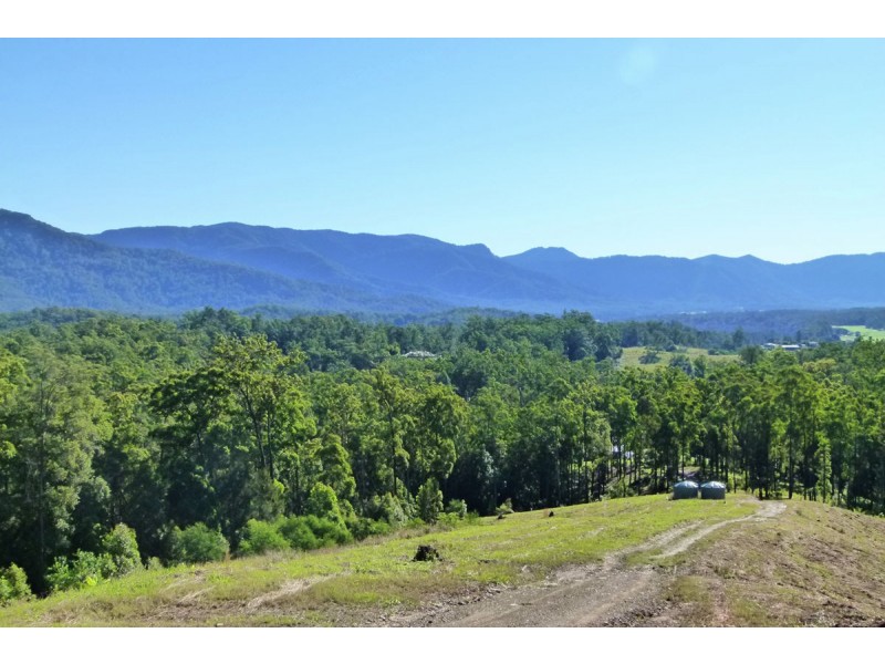 137 Mahers Road, Bellingen NSW 2454