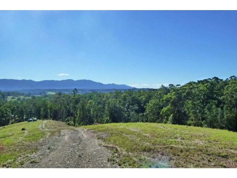 137 Mahers Road, Bellingen NSW 2454