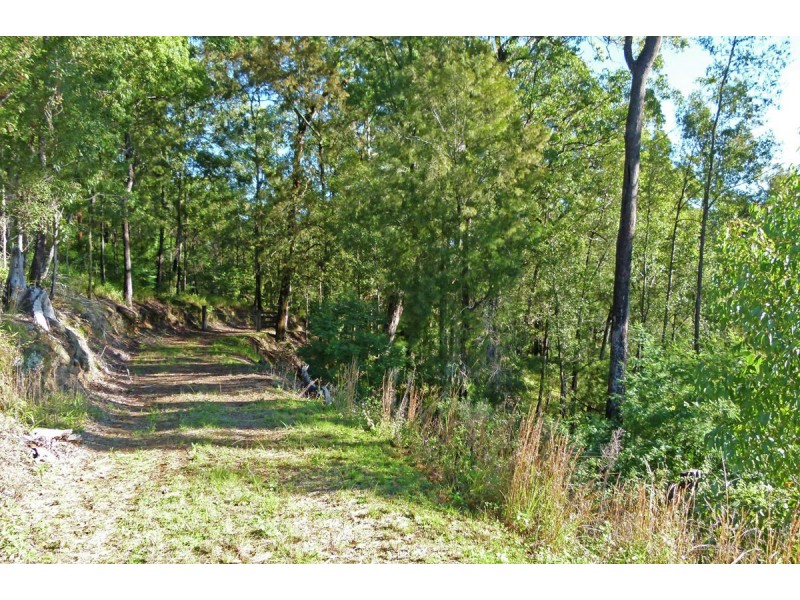 137 Mahers Road, Bellingen NSW 2454