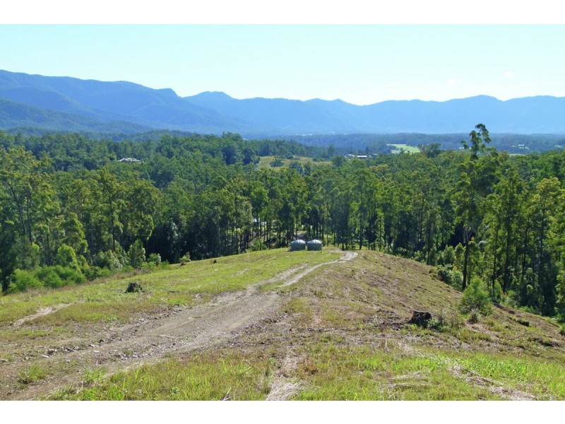 137 Mahers Road, Bellingen NSW 2454