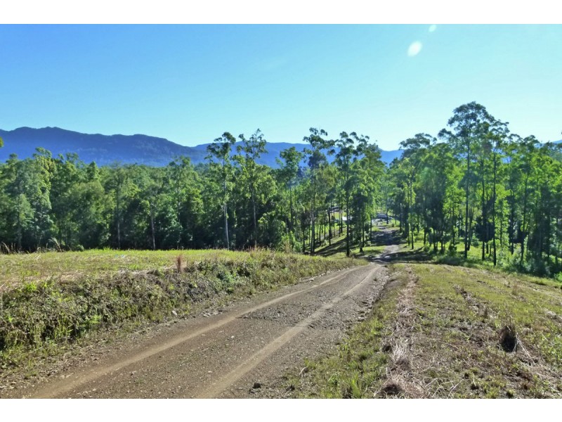 137 Mahers Road, Bellingen NSW 2454