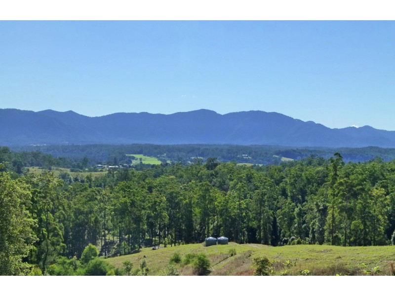 137 Mahers Road, Bellingen NSW 2454