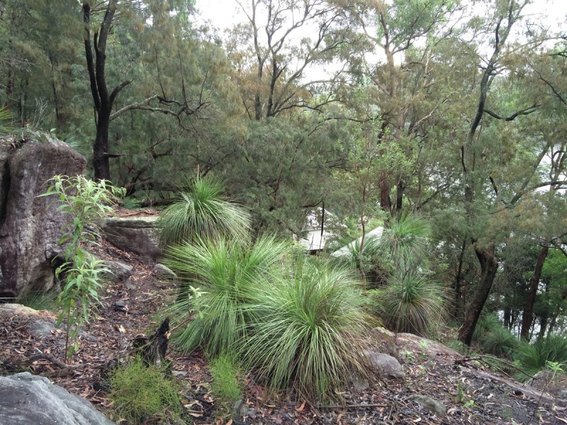 Lot 36 Coba Point, Berowra NSW 2081