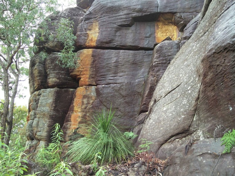 Lot 36 Coba Point, Berowra NSW 2081