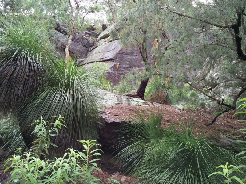 Lot 36 Coba Point, Berowra NSW 2081