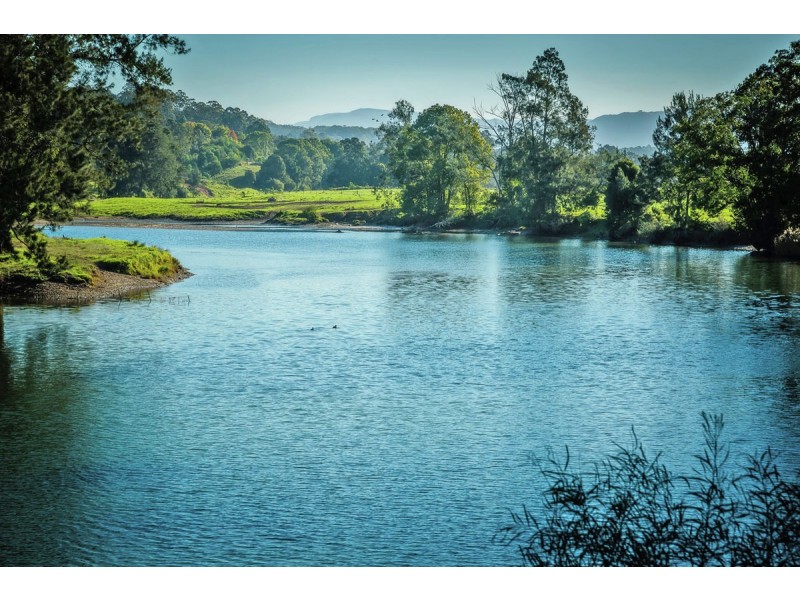 524 North Bank Road, Bellingen NSW 2454