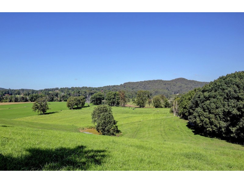 524 North Bank Road, Bellingen NSW 2454