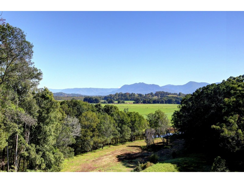 524 North Bank Road, Bellingen NSW 2454