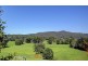 524 North Bank Road, Bellingen NSW 2454